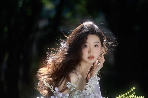 幻想全明星手机版正版免费